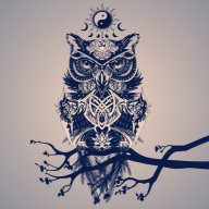 fitness_trainer_bogdan